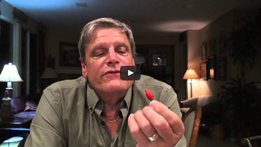 Stepping out of your comfort zone! A little fun with a chili pepper