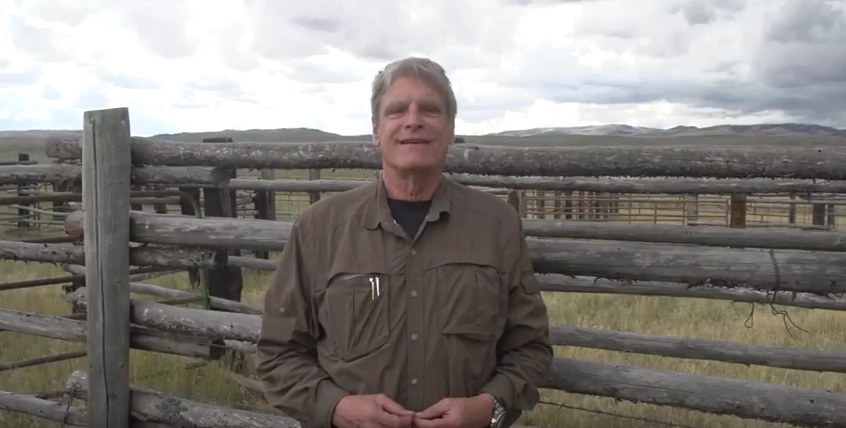 Cattle Corral